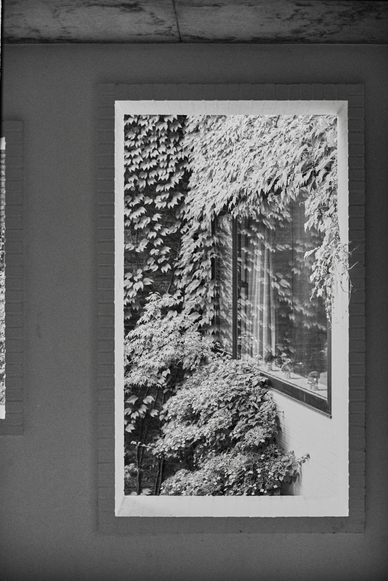 Ferienwohnung Teddy Picker Brüssel Exterior foto